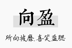 向盈名字的寓意及含义