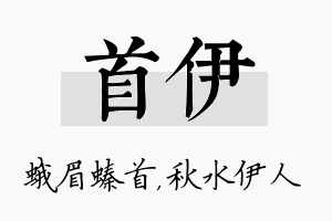 首伊名字的寓意及含义