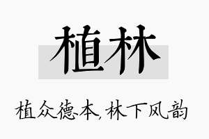 植林名字的寓意及含义