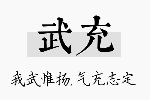 武充名字的寓意及含义