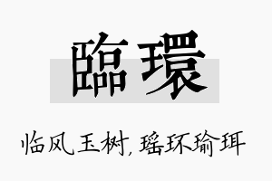 临环名字的寓意及含义