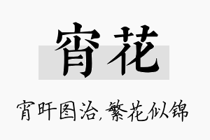 宵花名字的寓意及含义