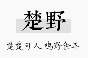 楚野名字的寓意及含义