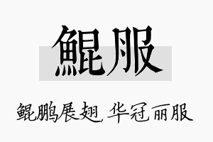 鲲服名字的寓意及含义