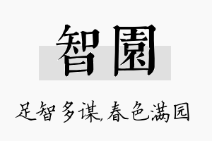 智园名字的寓意及含义