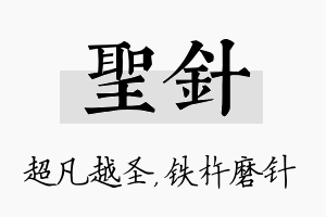 圣针名字的寓意及含义