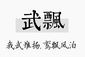 武飘名字的寓意及含义