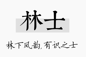 林士名字的寓意及含义