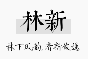 林新名字的寓意及含义