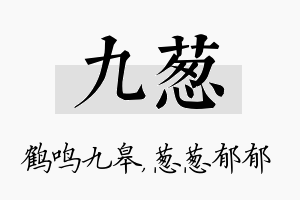 九葱名字的寓意及含义