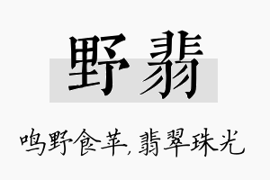 野翡名字的寓意及含义