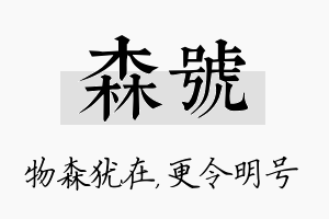 森号名字的寓意及含义