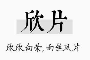 欣片名字的寓意及含义