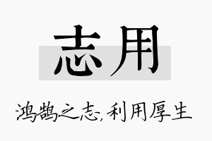 志用名字的寓意及含义