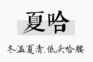 夏哈名字的寓意及含义