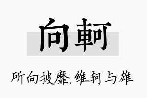 向轲名字的寓意及含义