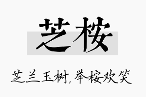 芝桉名字的寓意及含义