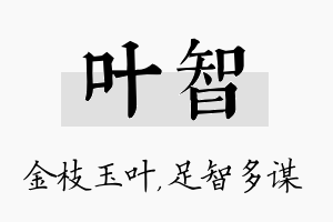 叶智名字的寓意及含义