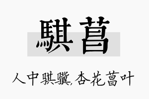 骐菖名字的寓意及含义