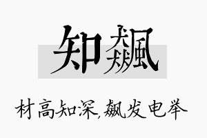 知飙名字的寓意及含义