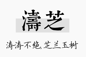 涛芝名字的寓意及含义