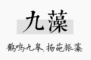 九藻名字的寓意及含义