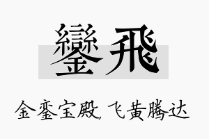 銮飞名字的寓意及含义