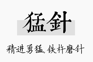 猛针名字的寓意及含义