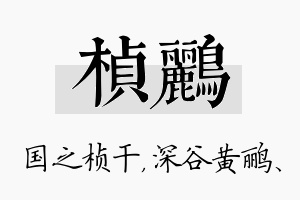 桢鹂名字的寓意及含义