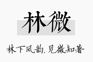 林微名字的寓意及含义