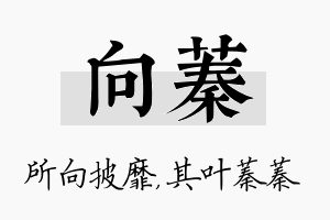 向蓁名字的寓意及含义