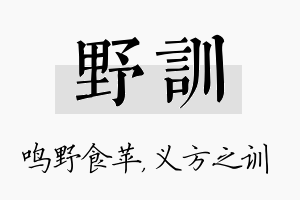 野训名字的寓意及含义