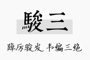 骏三名字的寓意及含义