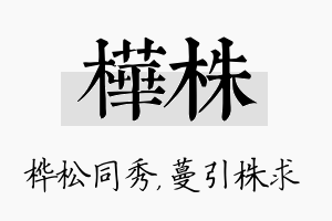 桦株名字的寓意及含义