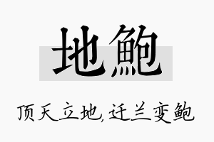 地鲍名字的寓意及含义