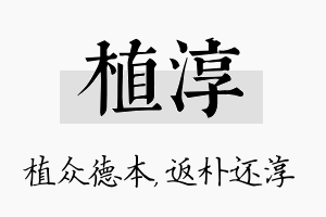 植淳名字的寓意及含义