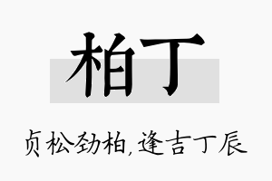 柏丁名字的寓意及含义