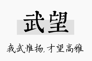 武望名字的寓意及含义