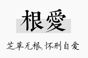 根爱名字的寓意及含义