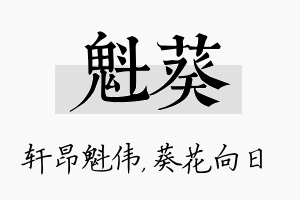 魁葵名字的寓意及含义