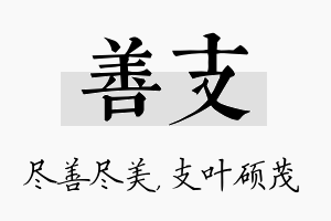 善支名字的寓意及含义