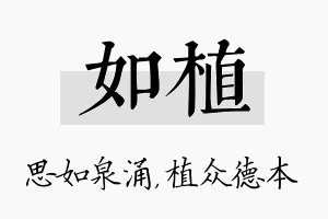 如植名字的寓意及含义