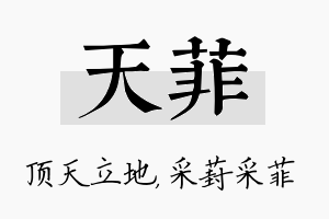 天菲名字的寓意及含义