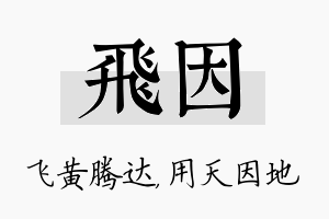 飞因名字的寓意及含义