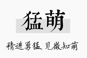 猛萌名字的寓意及含义