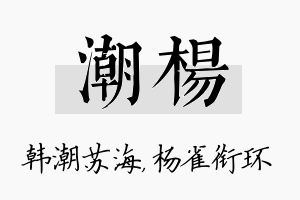 潮杨名字的寓意及含义