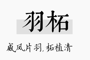 羽柘名字的寓意及含义