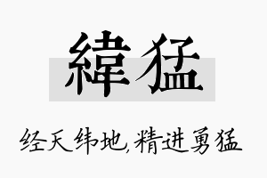 纬猛名字的寓意及含义