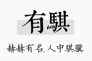 有骐名字的寓意及含义