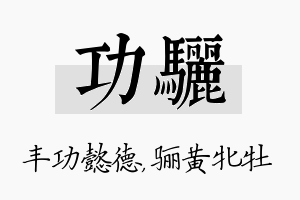 功骊名字的寓意及含义